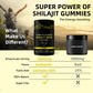 Organic Himalayan Shilajit Gummies